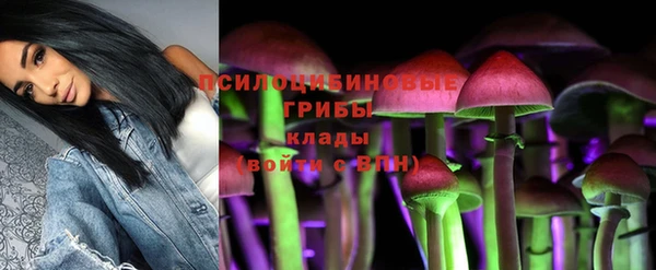 mix Арсеньев