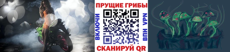Псилоцибиновые грибы мухоморы  где купить наркоту  Кубинка 