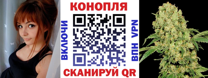 купить наркотики сайты  Кубинка  Каннабис план 